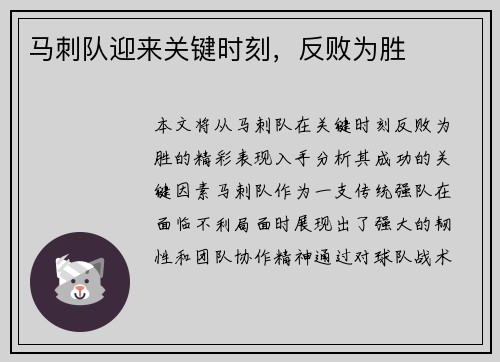 马刺队迎来关键时刻，反败为胜