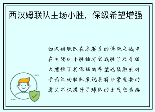西汉姆联队主场小胜，保级希望增强